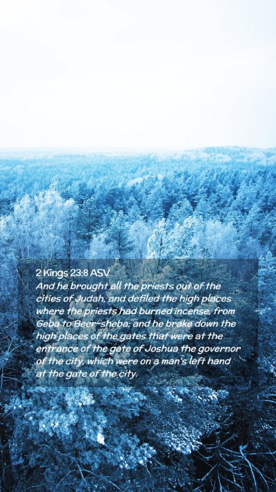 Picture 02 - 2 Kings 23:8 ASV Mobile Phone Wallpaper - And he brought all the priests out of the cities - Mobile Bible Verse Wallpaper