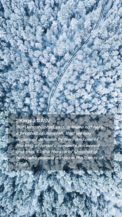 Picture 02 - 2 Kings 3:11 ASV Mobile Phone Wallpaper - But Jehoshaphat said, Is there not here a prophet - Mobile Bible Verse Wallpaper