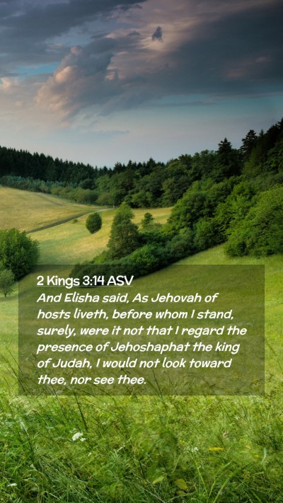 Picture 02 - 2 Kings 3:14 ASV Mobile Phone Wallpaper - And Elisha said, As Jehovah of hosts liveth, - Mobile Bible Verse Wallpaper