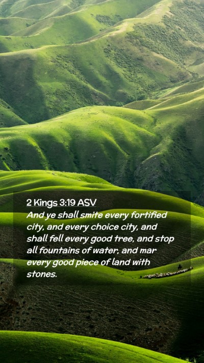 Picture 02 - 2 Kings 3:19 ASV Mobile Phone Wallpaper - And ye shall smite every fortified city, and - Mobile Bible Verse Wallpaper