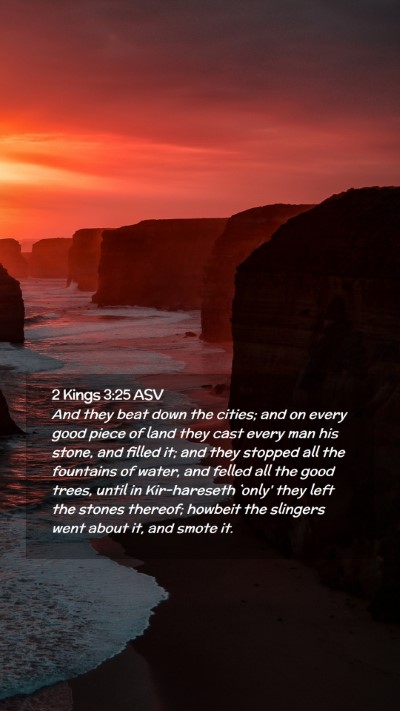 Picture 02 - 2 Kings 3:25 ASV Mobile Phone Wallpaper - And they beat down the cities; and on every good - Mobile Bible Verse Wallpaper
