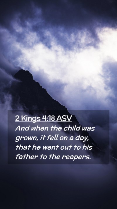 Picture 02 - 2 Kings 4:18 ASV Mobile Phone Wallpaper - And when the child was grown, it fell on a day, - Mobile Bible Verse Wallpaper