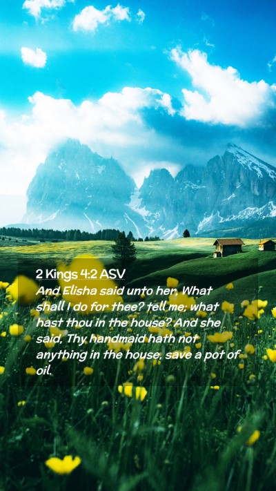 Picture 02 - 2 Kings 4:2 ASV Mobile Phone Wallpaper - And Elisha said unto her, What shall I do for - Mobile Bible Verse Wallpaper