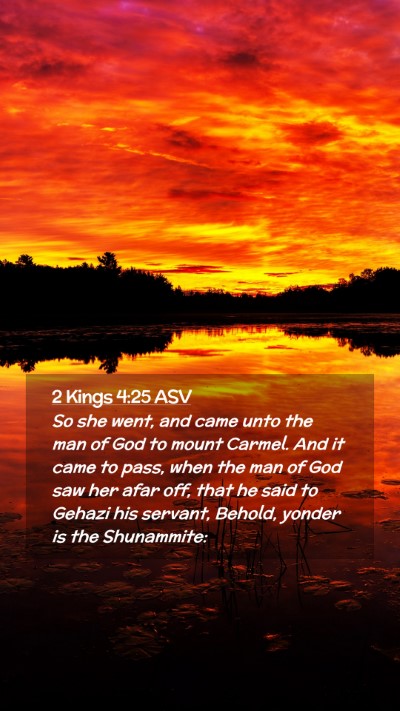 Picture 02 - 2 Kings 4:25 ASV Mobile Phone Wallpaper - So she went, and came unto the man of God to - Mobile Bible Verse Wallpaper