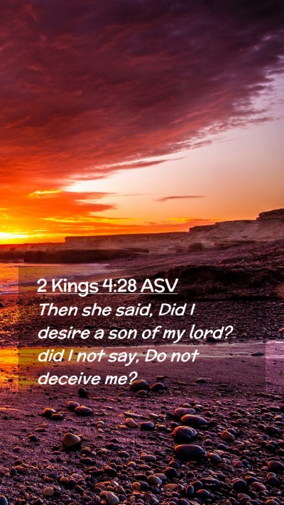 Picture 02 - 2 Kings 4:28 ASV Mobile Phone Wallpaper - Then she said, Did I desire a son of my lord? did - Mobile Bible Verse Wallpaper