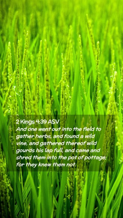 Picture 02 - 2 Kings 4:39 ASV Mobile Phone Wallpaper - And one went out into the field to gather herbs, - Mobile Bible Verse Wallpaper
