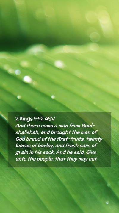 Picture 02 - 2 Kings 4:42 ASV Mobile Phone Wallpaper - And there came a man from Baal-shalishah, and - Mobile Bible Verse Wallpaper