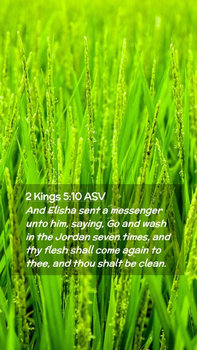 Picture 02 - 2 Kings 5:10 ASV Mobile Phone Wallpaper - And Elisha sent a messenger unto him, saying, Go - Mobile Bible Verse Wallpaper