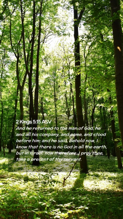 Picture 02 - 2 Kings 5:15 ASV Mobile Phone Wallpaper - And he returned to the man of God, he and all his - Mobile Bible Verse Wallpaper