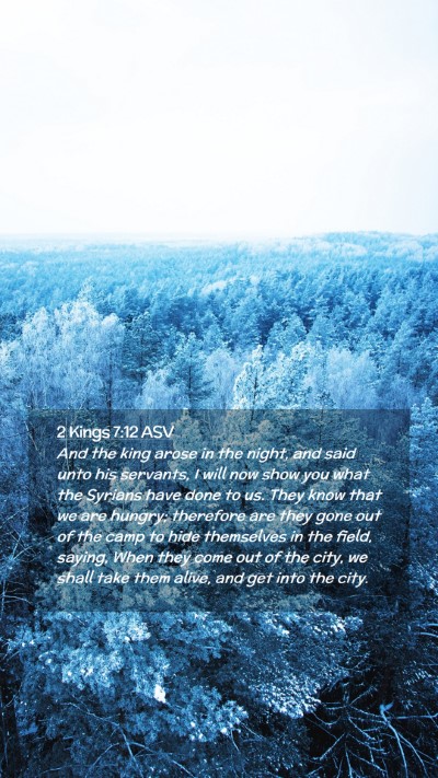 Picture 02 - 2 Kings 7:12 ASV Mobile Phone Wallpaper - And the king arose in the night, and said unto - Mobile Bible Verse Wallpaper