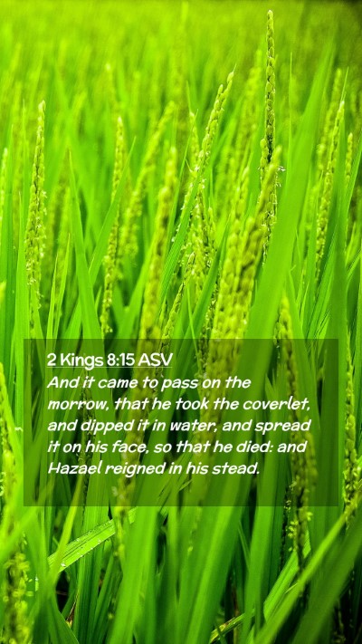 Picture 02 - 2 Kings 8:15 ASV Mobile Phone Wallpaper - And it came to pass on the morrow, that he took - Mobile Bible Verse Wallpaper