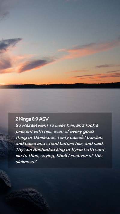 Picture 02 - 2 Kings 8:9 ASV Mobile Phone Wallpaper - So Hazael went to meet him, and took a present - Mobile Bible Verse Wallpaper