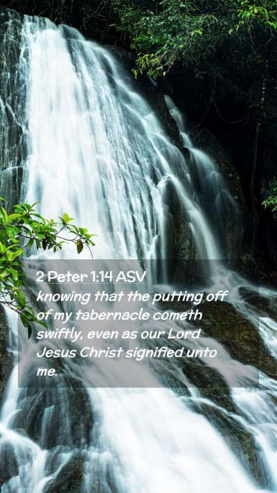 Picture 02 - 2 Peter 1:14 ASV Mobile Phone Wallpaper - knowing that the putting off of my tabernacle - Mobile Bible Verse Wallpaper
