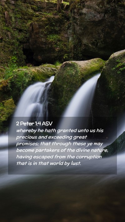 Picture 02 - 2 Peter 1:4 ASV Mobile Phone Wallpaper - whereby he hath granted unto us his precious and - Mobile Bible Verse Wallpaper