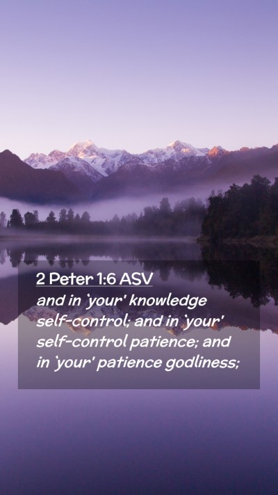 Picture 02 - 2 Peter 1:6 ASV Mobile Phone Wallpaper - and in `your' knowledge self-control; and in - Mobile Bible Verse Wallpaper