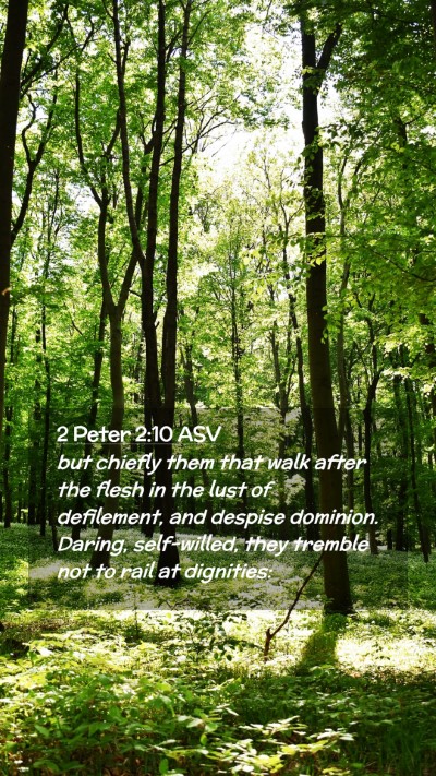 Picture 02 - 2 Peter 2:10 ASV Mobile Phone Wallpaper - but chiefly them that walk after the flesh in the - Mobile Bible Verse Wallpaper