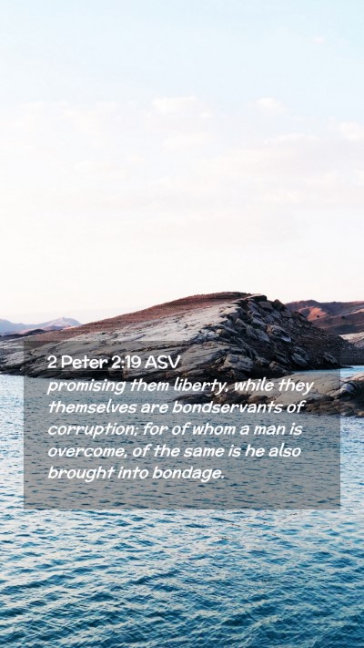 Picture 02 - 2 Peter 2:19 ASV Mobile Phone Wallpaper - promising them liberty, while they themselves are - Mobile Bible Verse Wallpaper