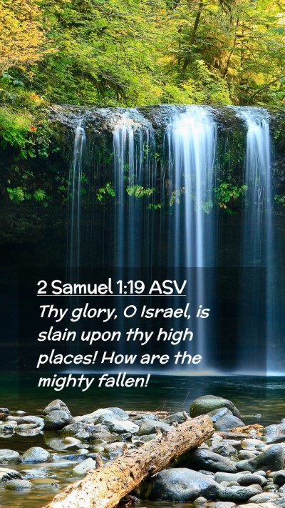 Picture 02 - 2 Samuel 1:19 ASV Mobile Phone Wallpaper - Thy glory, O Israel, is slain upon thy high - Mobile Bible Verse Wallpaper