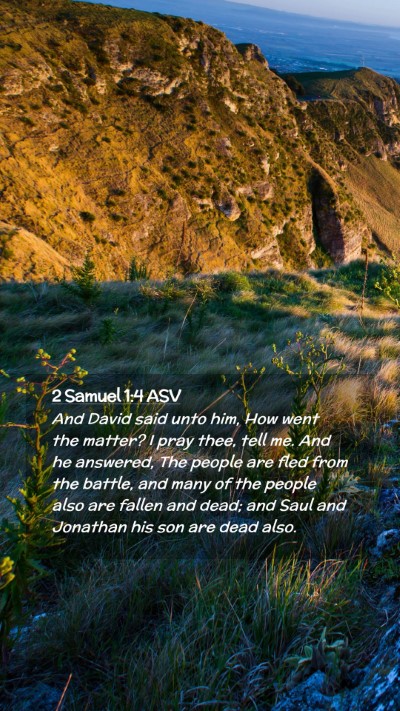 Picture 02 - 2 Samuel 1:4 ASV Mobile Phone Wallpaper - And David said unto him, How went the matter? I - Mobile Bible Verse Wallpaper