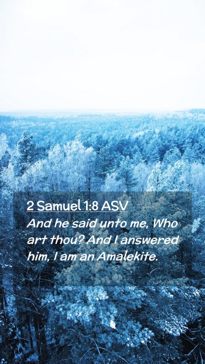 Picture 02 - 2 Samuel 1:8 ASV Mobile Phone Wallpaper - And he said unto me, Who art thou? And I answered - Mobile Bible Verse Wallpaper