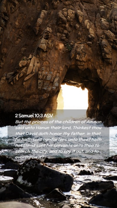 Picture 02 - 2 Samuel 10:3 ASV Mobile Phone Wallpaper - But the princes of the children of Ammon said - Mobile Bible Verse Wallpaper