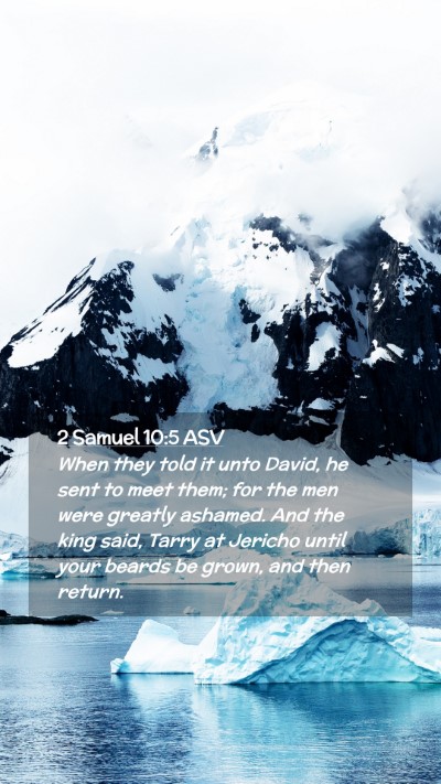 Picture 02 - 2 Samuel 10:5 ASV Mobile Phone Wallpaper - When they told it unto David, he sent to meet - Mobile Bible Verse Wallpaper