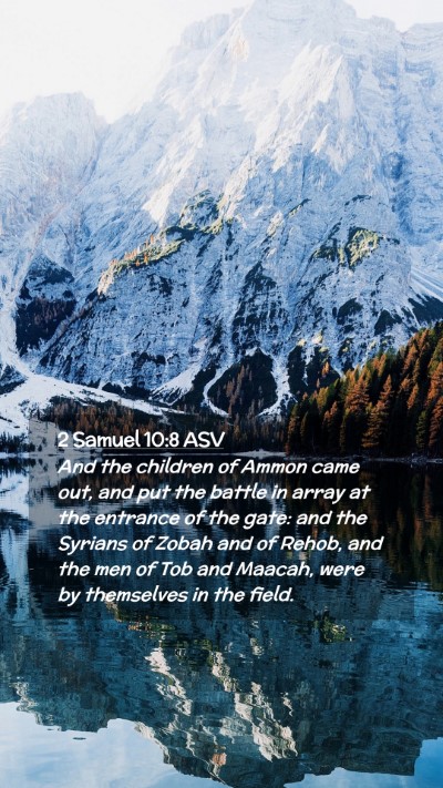 Picture 02 - 2 Samuel 10:8 ASV Mobile Phone Wallpaper - And the children of Ammon came out, and put the - Mobile Bible Verse Wallpaper