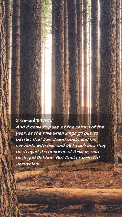 Picture 02 - 2 Samuel 11:1 ASV Mobile Phone Wallpaper - And it came to pass, at the return of the year, - Mobile Bible Verse Wallpaper