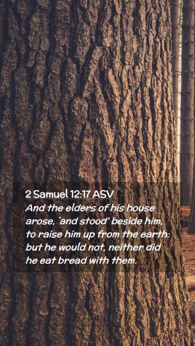 Picture 02 - 2 Samuel 12:17 ASV Mobile Phone Wallpaper - And the elders of his house arose, `and stood' - Mobile Bible Verse Wallpaper