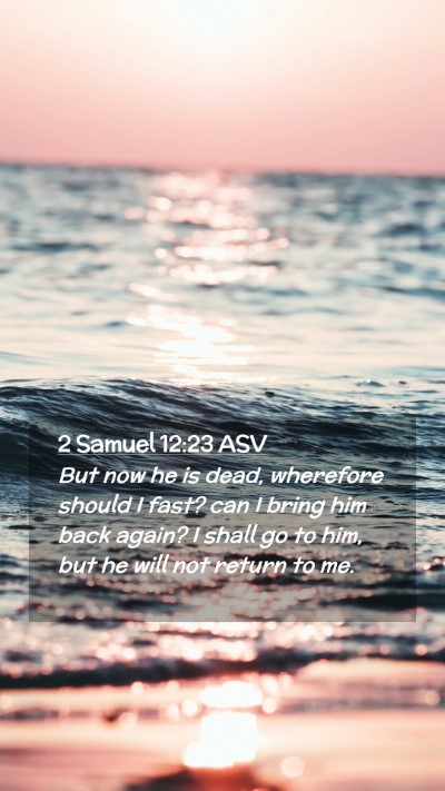Picture 02 - 2 Samuel 12:23 ASV Mobile Phone Wallpaper - But now he is dead, wherefore should I fast? can - Mobile Bible Verse Wallpaper
