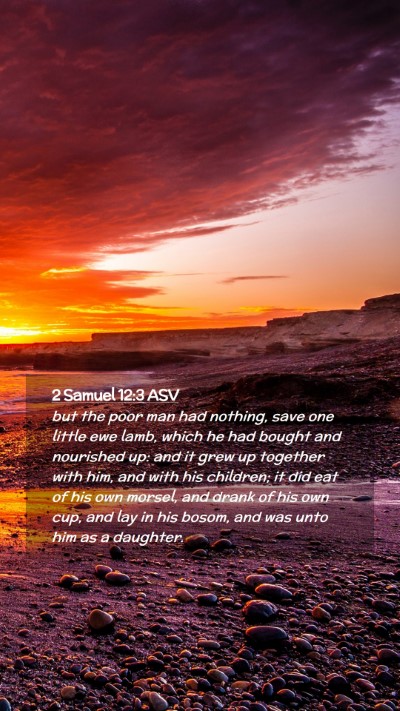 Picture 02 - 2 Samuel 12:3 ASV Mobile Phone Wallpaper - but the poor man had nothing, save one little ewe - Mobile Bible Verse Wallpaper
