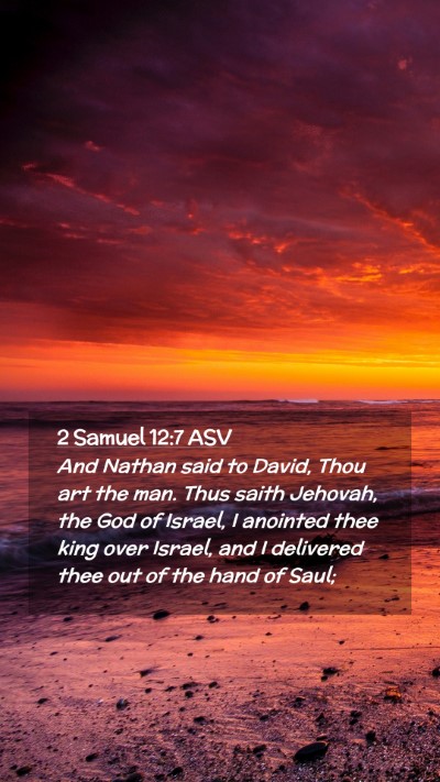 Picture 02 - 2 Samuel 12:7 ASV Mobile Phone Wallpaper - And Nathan said to David, Thou art the man. Thus - Mobile Bible Verse Wallpaper