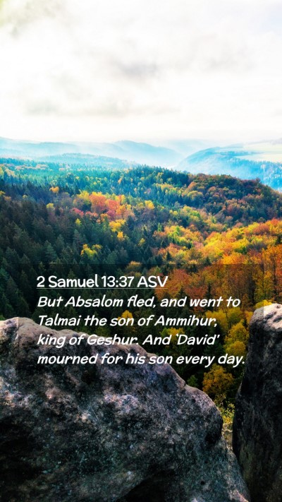 Picture 02 - 2 Samuel 13:37 ASV Mobile Phone Wallpaper - But Absalom fled, and went to Talmai the son of - Mobile Bible Verse Wallpaper