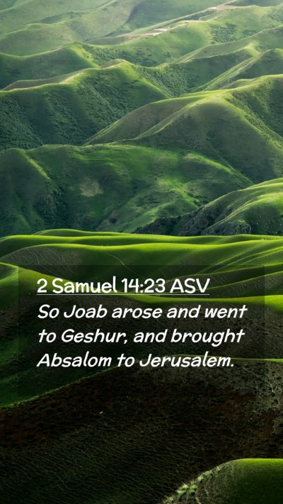 Picture 02 - 2 Samuel 14:23 ASV Mobile Phone Wallpaper - So Joab arose and went to Geshur, and brought - Mobile Bible Verse Wallpaper