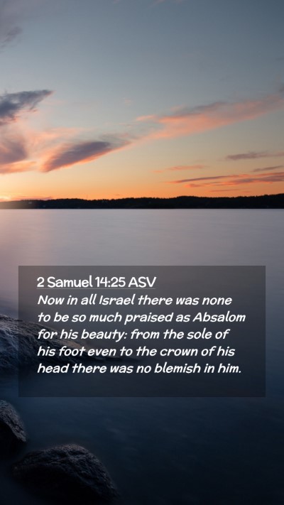 Picture 02 - 2 Samuel 14:25 ASV Mobile Phone Wallpaper - Now in all Israel there was none to be so much - Mobile Bible Verse Wallpaper