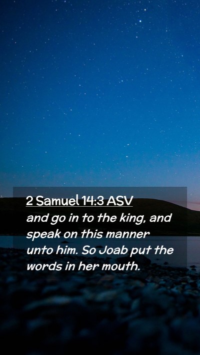 Picture 02 - 2 Samuel 14:3 ASV Mobile Phone Wallpaper - and go in to the king, and speak on this manner - Mobile Bible Verse Wallpaper