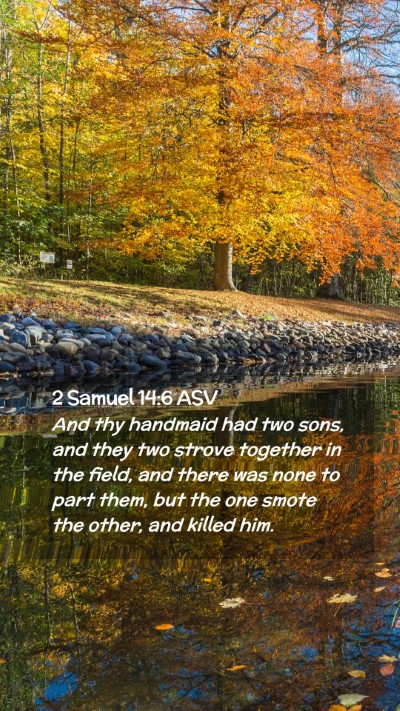 Picture 02 - 2 Samuel 14:6 ASV Mobile Phone Wallpaper - And thy handmaid had two sons, and they two - Mobile Bible Verse Wallpaper