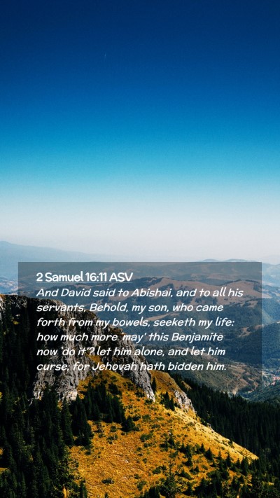 Picture 02 - 2 Samuel 16:11 ASV Mobile Phone Wallpaper - And David said to Abishai, and to all his - Mobile Bible Verse Wallpaper
