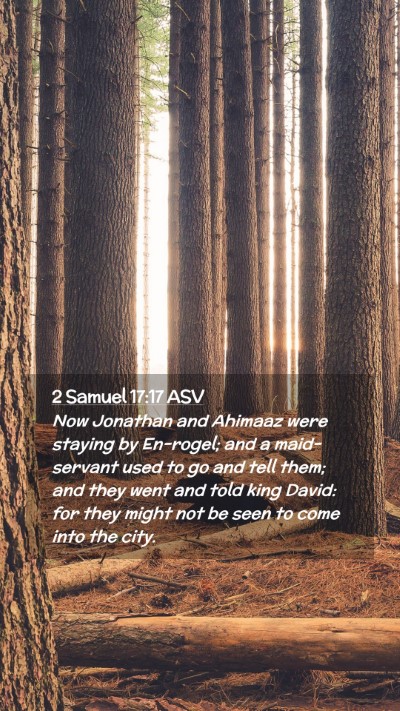 Picture 02 - 2 Samuel 17:17 ASV Mobile Phone Wallpaper - Now Jonathan and Ahimaaz were staying by - Mobile Bible Verse Wallpaper