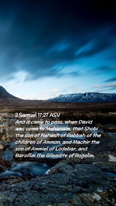 Picture 02 - 2 Samuel 17:27 ASV Mobile Phone Wallpaper - And it came to pass, when David was come to - Mobile Bible Verse Wallpaper
