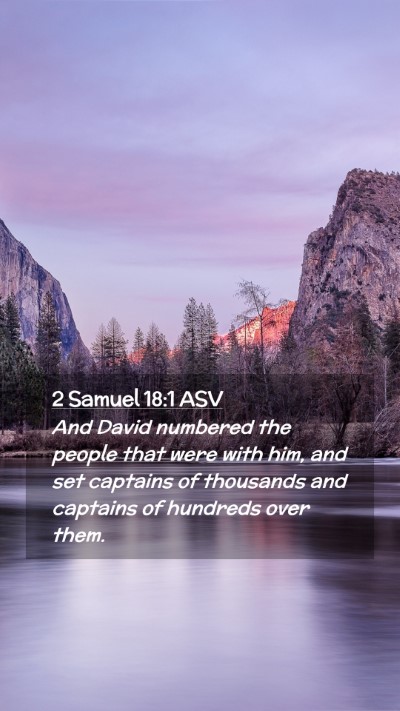 Picture 02 - 2 Samuel 18:1 ASV Mobile Phone Wallpaper - And David numbered the people that were with him, - Mobile Bible Verse Wallpaper