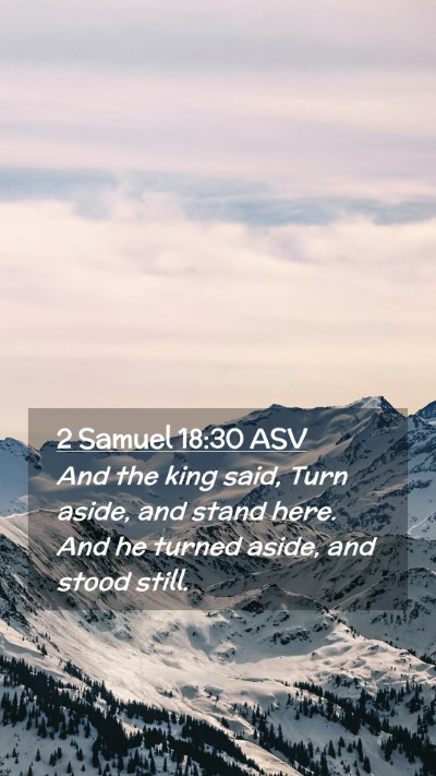 Picture 02 - 2 Samuel 18:30 ASV Mobile Phone Wallpaper - And the king said, Turn aside, and stand here. - Mobile Bible Verse Wallpaper
