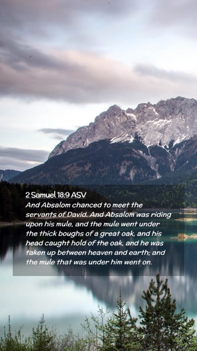 Picture 02 - 2 Samuel 18:9 ASV Mobile Phone Wallpaper - And Absalom chanced to meet the servants of - Mobile Bible Verse Wallpaper