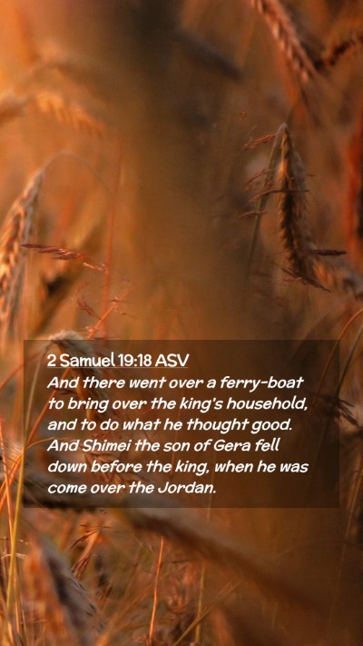Picture 02 - 2 Samuel 19:18 ASV Mobile Phone Wallpaper - And there went over a ferry-boat to bring over - Mobile Bible Verse Wallpaper