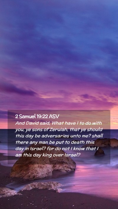 Picture 02 - 2 Samuel 19:22 ASV Mobile Phone Wallpaper - And David said, What have I to do with you, ye - Mobile Bible Verse Wallpaper