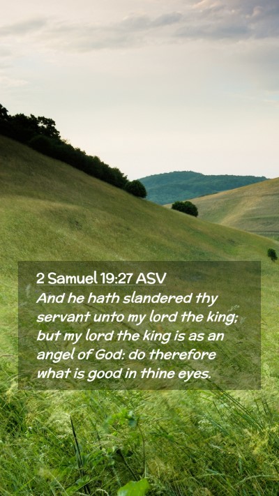Picture 02 - 2 Samuel 19:27 ASV Mobile Phone Wallpaper - And he hath slandered thy servant unto my lord - Mobile Bible Verse Wallpaper