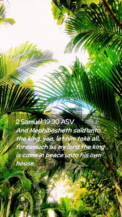 Picture 02 - 2 Samuel 19:30 ASV Mobile Phone Wallpaper - And Mephibosheth said unto the king, yea, let him - Mobile Bible Verse Wallpaper