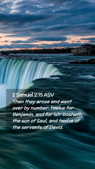 Picture 02 - 2 Samuel 2:15 ASV Mobile Phone Wallpaper - Then they arose and went over by number: twelve - Mobile Bible Verse Wallpaper