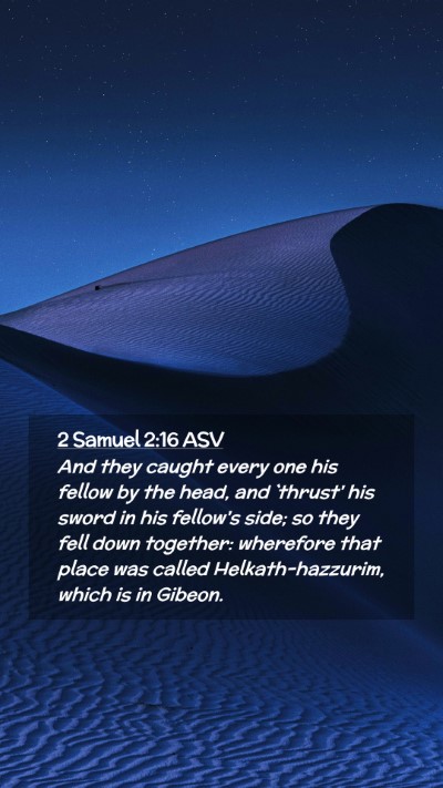 Picture 02 - 2 Samuel 2:16 ASV Mobile Phone Wallpaper - And they caught every one his fellow by the head, - Mobile Bible Verse Wallpaper