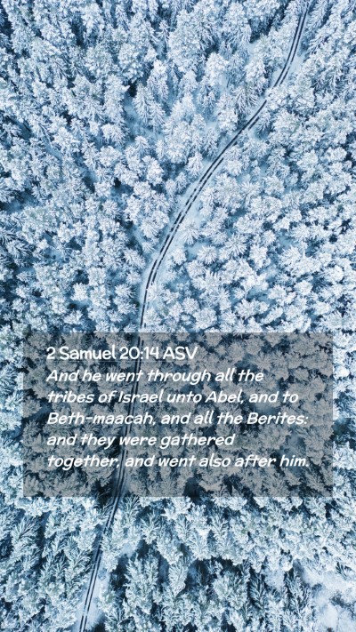 Picture 02 - 2 Samuel 20:14 ASV Mobile Phone Wallpaper - And he went through all the tribes of Israel unto - Mobile Bible Verse Wallpaper